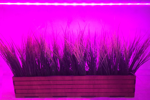 led фитолампа 1 м метровая фитосветильник купить минск недорого фитолампа 1 метр